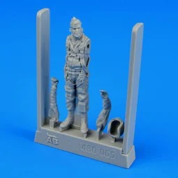 U.S.A. fighter pilot-Vietnam war 1960-75, 1/48 - Aerobonus 480.065