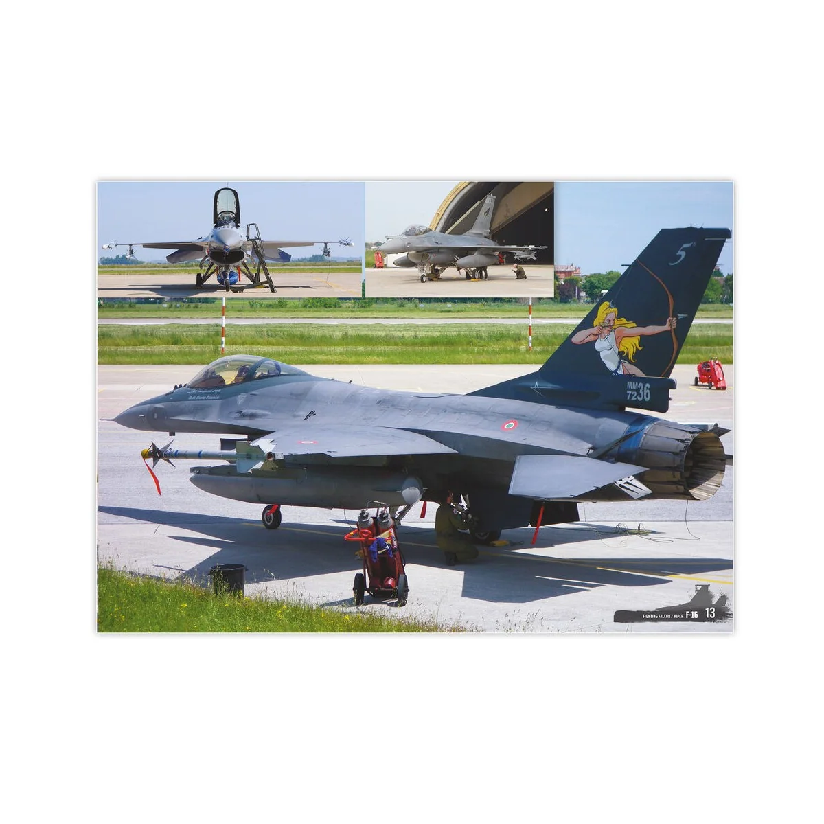 F-16 Fighting Falcon / VIPER - VISUAL MODELERS GUIDE (English, Cast...