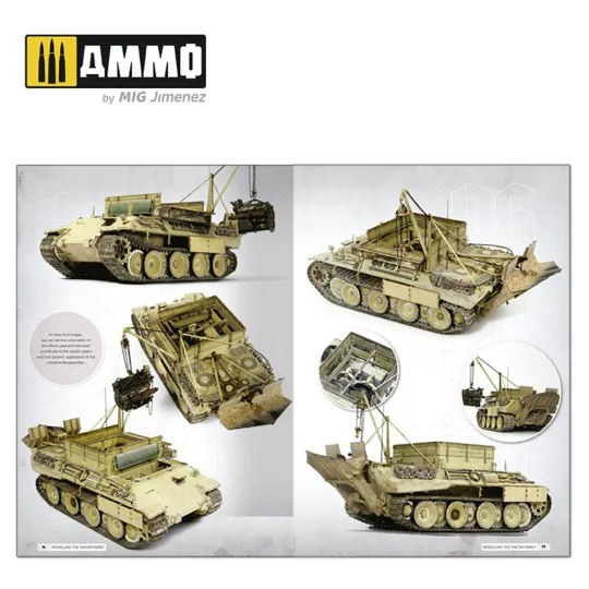 Panthers - Modeling the TAKOM Family (English) - AMMO by MIG Jimene...