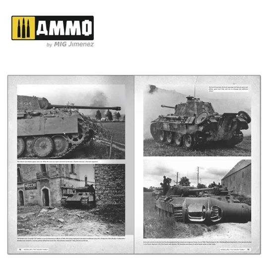 Panthers - Modeling the TAKOM Family (English) - AMMO by MIG Jimene...