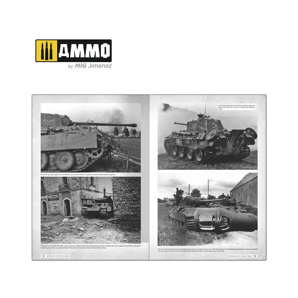 Panthers - Modeling the TAKOM Family (English) - AMMO by MIG Jimene...