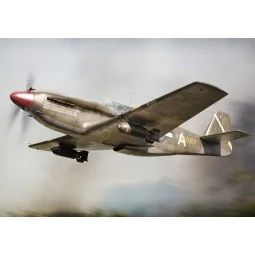 A-36 Apache USAF, 1/72 - Brengun BRP72025