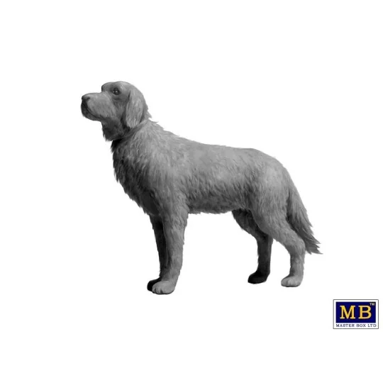 Schnelle Truppen. German Drivers, WW II Era - Master Box Ltd. 35237