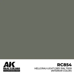 Real Colors: Hellgrau-Light Grey RAL 7009 (interior color) 17 m - A...