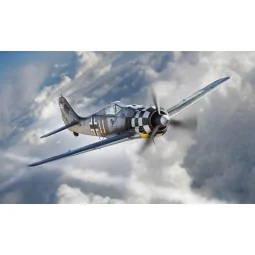 Focke-Wulf FW190A-6, 1/48 - Hobby Boss 81781