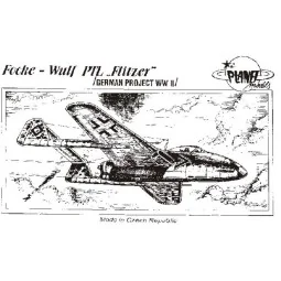 Focke-Wulf PTL Flitzer - Planet Models 129-PLT025