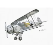 Bücker Bü 133 Jungmeister - Planet Models 129-PLT085