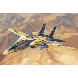Persian Cat F-14A TomCat-IRIAF, 1/48 - Hobby Boss 81771
