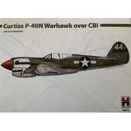 Curtiss P-40N Warhawk over CBI - Hobby 2000 48002