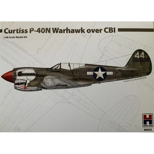 Curtiss P-40N Warhawk over CBI, 1/48 - Hobby 2000 48002 Curtiss P-40N Warhawk over CBI, 1/48 - Hobby 2000 48002