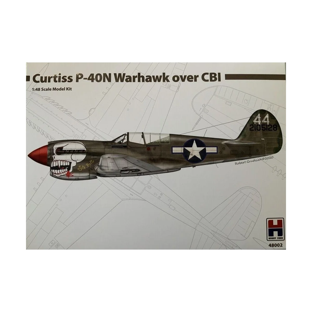 Curtiss P-40N Warhawk over CBI - Hobby 2000 48002
