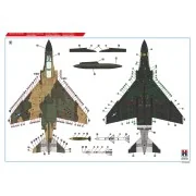 Vietnam Aces vol.2, 1/48 - Hobby 2000 48038