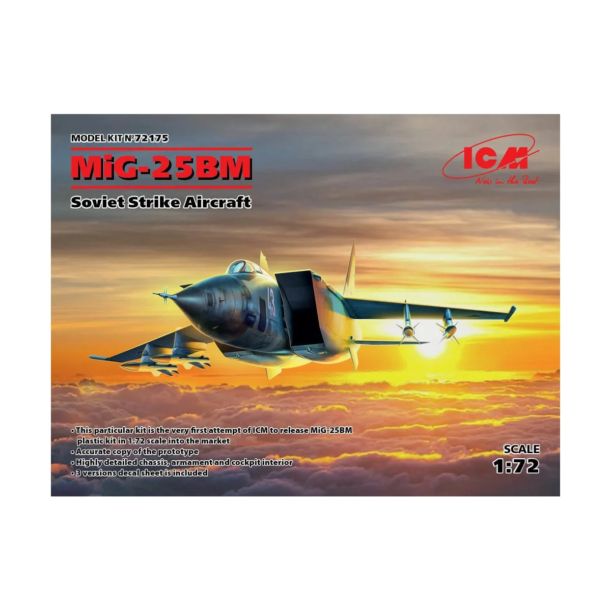 MiG-25 BM, Soviet Strike Aircraft - ICM 72175