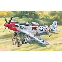 Mustang P-51D WWII American Fighter with USAAF Pilots and Ground Pe...