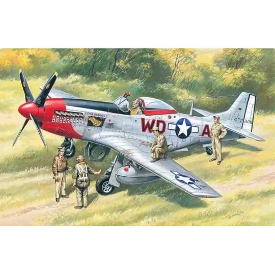 Mustang P-51D WWII American Fighter with USAAF Pilots and Ground Pe...
