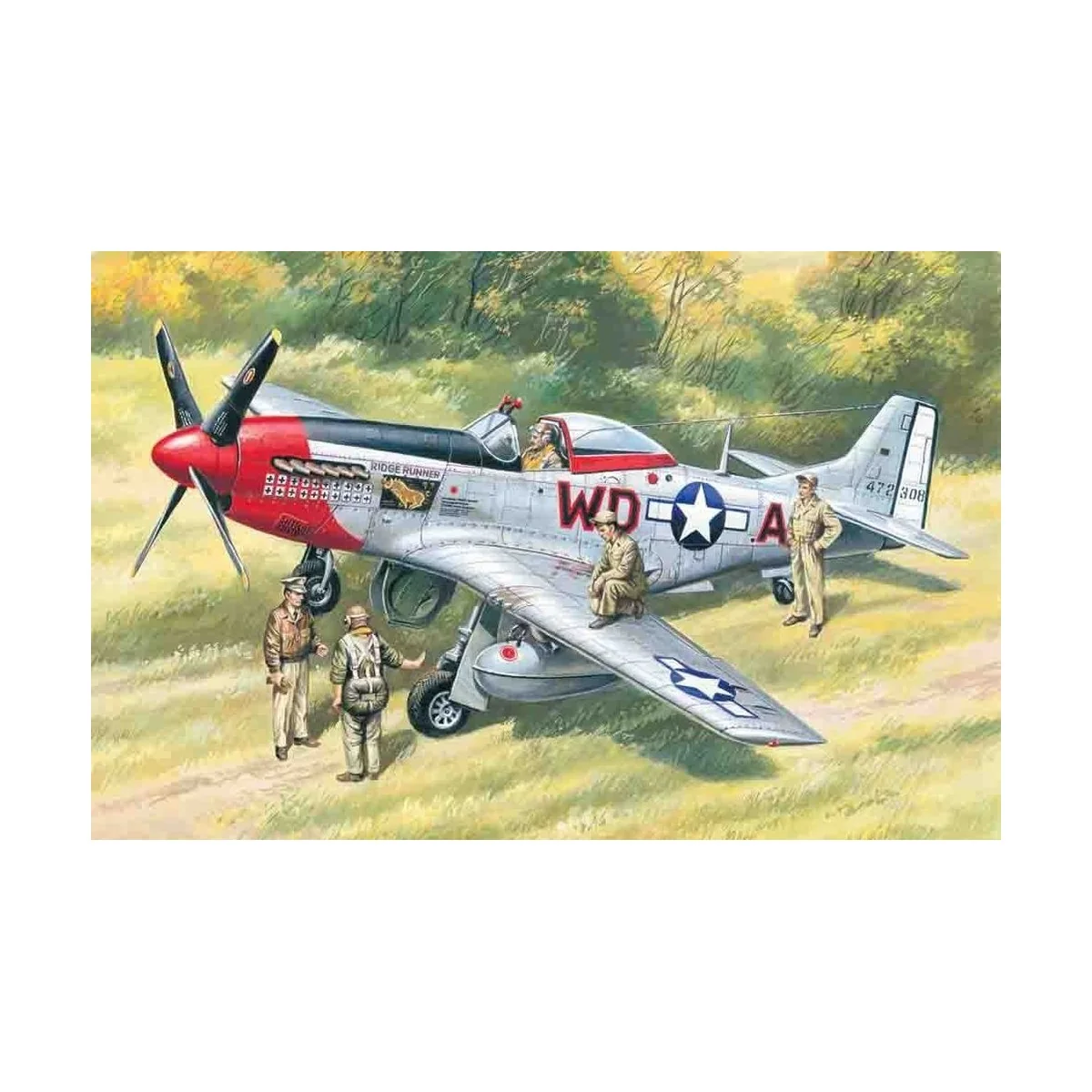 Mustang P-51D WWII American Fighter with USAAF Pilots and Ground Pe... Mustang P-51D WWII American Fighter with USAAF Pilots and Ground Pe...