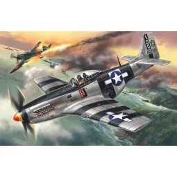 Mustang P-51K, WWII American Fighter - ICM 48154