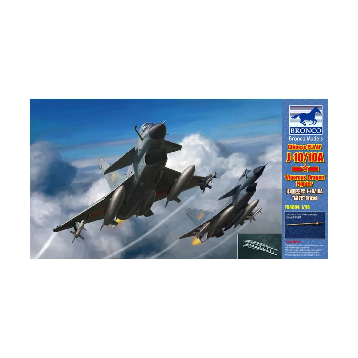 Chinese J-10A Fighte, 1/48 - Bronco Models FB4004