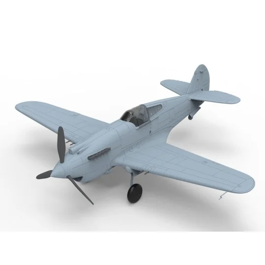 Curtiss Hawk 81-A2'AVG'(Special Edition, 1/48 - Bronco Models FB4009