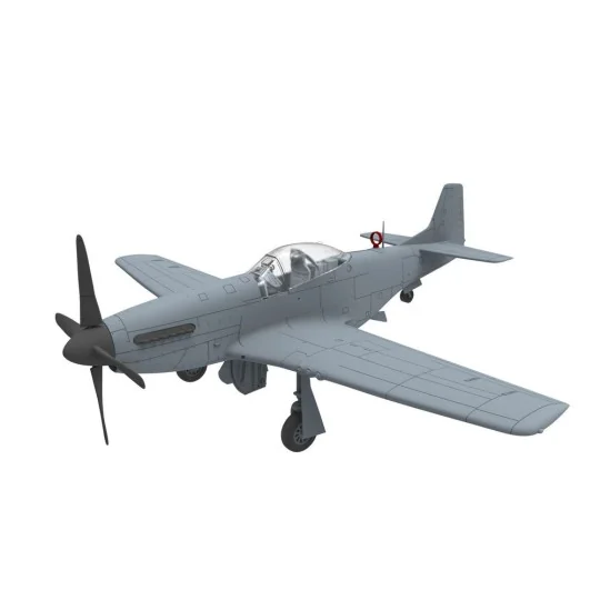 PLA P-51D/K Mustang (1949 Parade) - Bronco Models FB4010