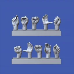 Assorted hands set No. 2, 1/16 - Royal Model RM963