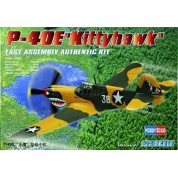 P-40E ''Kitty hawk'' - Hobby Boss 80250