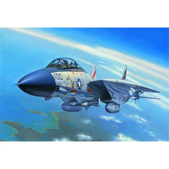 F-14A Tomcat - Hobby Boss 80276