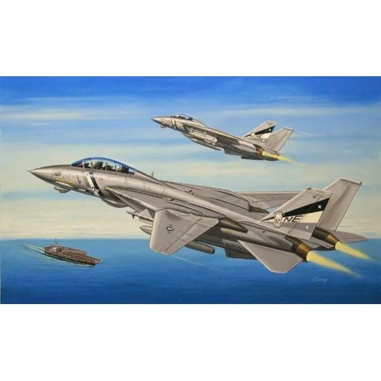 F-14D Super Tomcat - Hobby Boss 80278