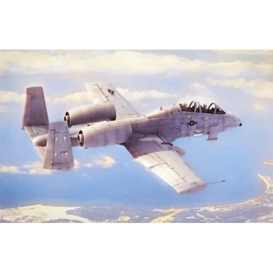N/AW A-10A Thunderbolt II, 1/48 - Hobby Boss 80324
