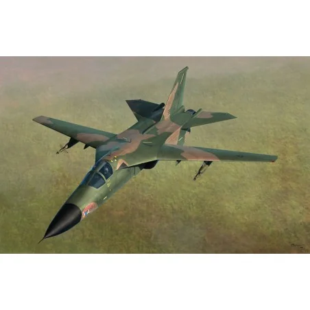 F-111D/E Aardvark, 1/48 - Hobby Boss 80350