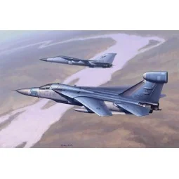 EF-111 Raven - Hobby Boss 80352