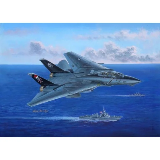 F-14B Tomcat, 1/48 - Hobby Boss 80367 F-14B Tomcat, 1/48 - Hobby Boss 80367