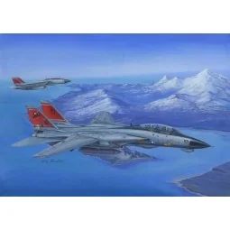 F-14D Super Tomcat, 1/48 - Hobby Boss 80368