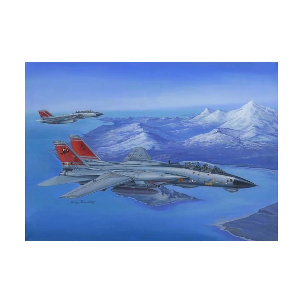 F-14D Super Tomcat, 1/48 - Hobby Boss 80368