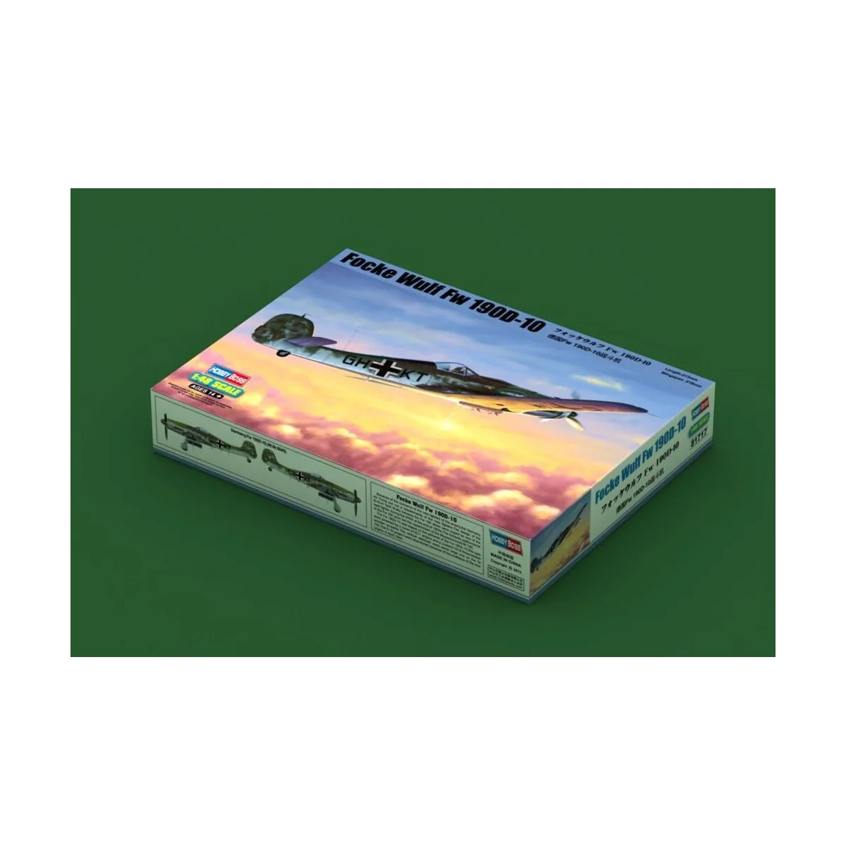 Focke-Wulf FW190D-10 - Hobby Boss 81717