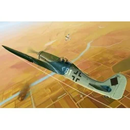 Focke-Wulf FW 190D-11, 1/48 - Hobby Boss 81718