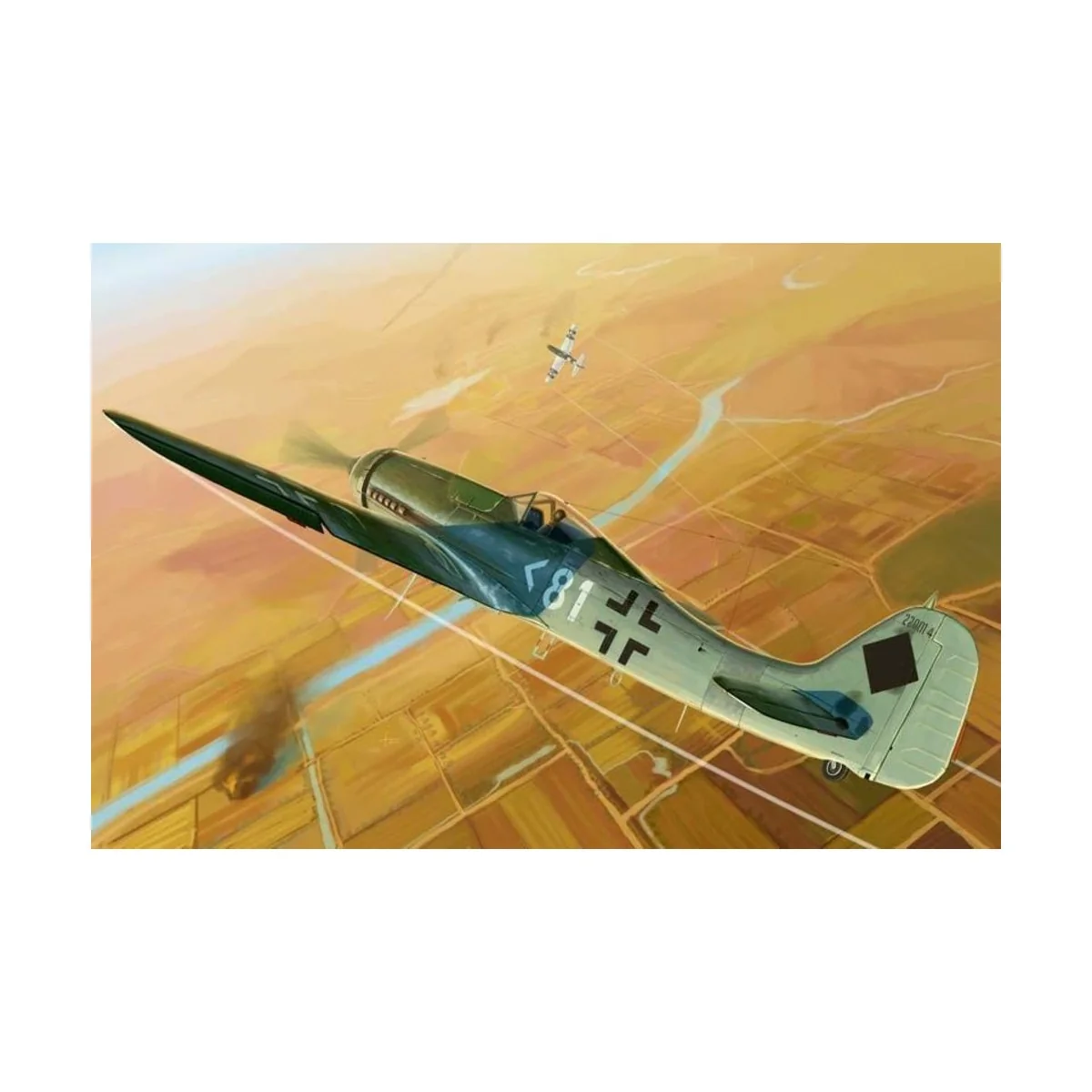 Focke-Wulf FW 190D-11, 1/48 - Hobby Boss 81718