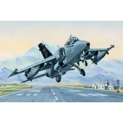 AMX Ground Attack Aircraft - Hobby Boss 81741
