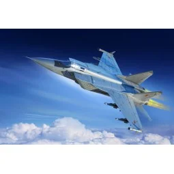 Russian MiG-31M Foxhound, 1/48 - Hobby Boss 81755