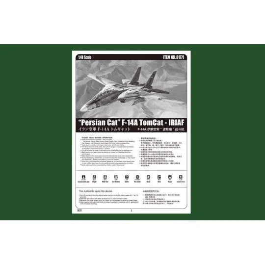 Persian Cat F-14A TomCat-IRIAF, 1/48 - Hobby Boss 81771 Persian Cat F-14A TomCat-IRIAF, 1/48 - Hobby Boss 81771