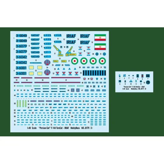 Persian Cat F-14A TomCat-IRIAF, 1/48 - Hobby Boss 81771 Persian Cat F-14A TomCat-IRIAF, 1/48 - Hobby Boss 81771