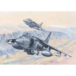 AV-8B Harrier II, 1/18 - Hobby Boss 81804