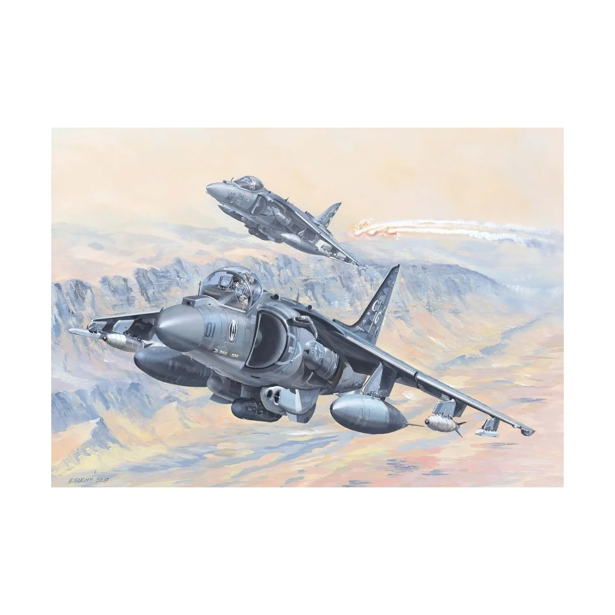 AV-8B Harrier II - Hobby Boss 81804