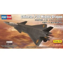 Chinese J-20 Mighty Dragon - Hobby Boss 81902