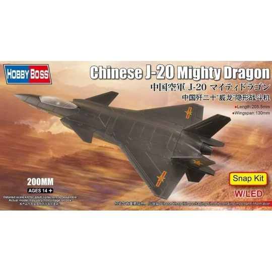 Chinese J-20 Mighty Dragon - Hobby Boss 81902