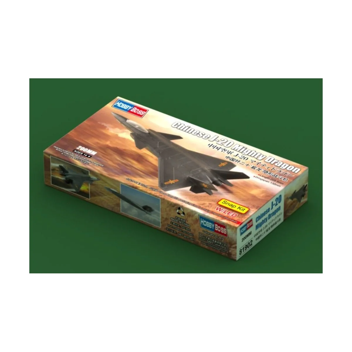 Chinese J-20 Mighty Dragon - Hobby Boss 81902