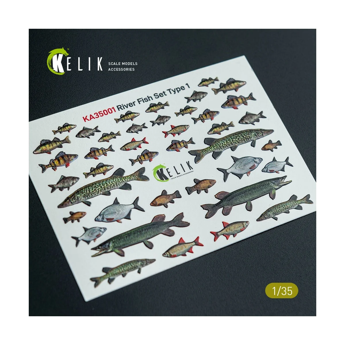 River Fish set Type 1 - 3D Decal for dioramas, 1/35 - Kelik KA35001