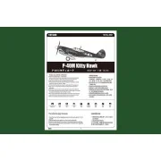 P-40E Kitty Hawk Fighter - Hobby Boss 85801