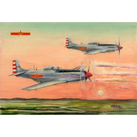 PLAAF P-51D/K Mustang Fighter, 1/48 - Hobby Boss 85807