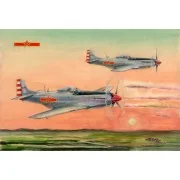 PLAAF P-51D/K Mustang Fighter - Hobby Boss 85807